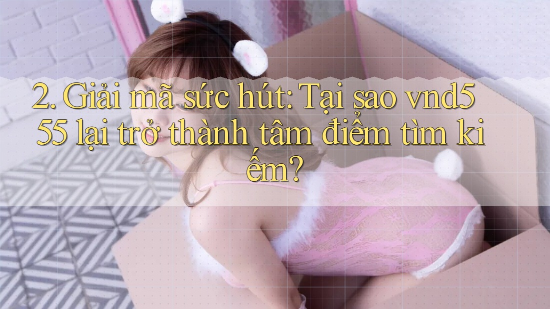 2. Giải mã sức hút: Tại sao vnd555 lại trở thành tâm điểm tìm kiếm?