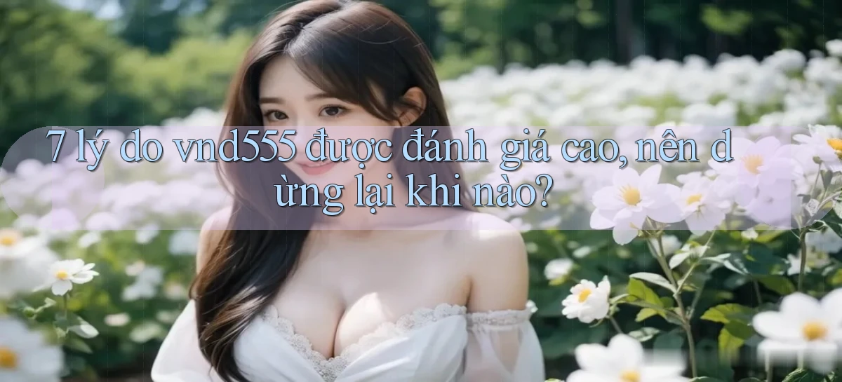 7 lý do vnd555 được đánh giá cao, nên dừng lại khi nào