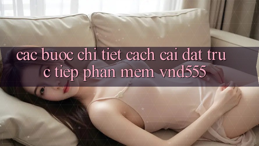 Các bước chi tiết cách cài đặt trực tiếp phần mềm vnd555 Các bước chi tiết cách cài đặt trực tiếp phần mềm vnd555