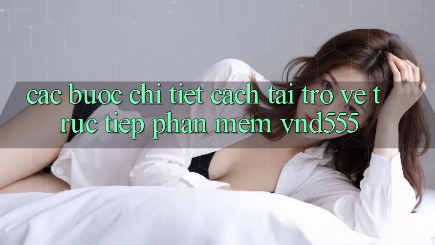 Các bước chi tiết cách tải trở về trực tiếp phần mềm vnd555