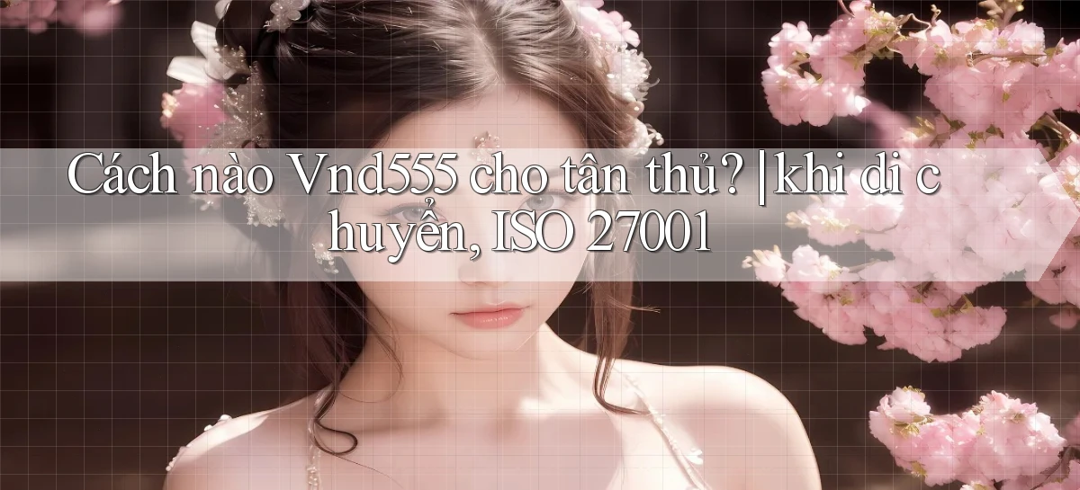 Cách nào Vnd555 cho tân thủ khi di chuyển, ISO 27001