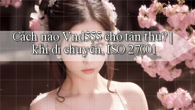 Cách nào Vnd555 cho tân thủ khi di chuyển, ISO 27001