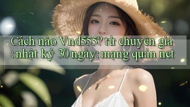 Cách nào Vnd555 từ chuyên gia nhật ký 30 ngày mạng quán net