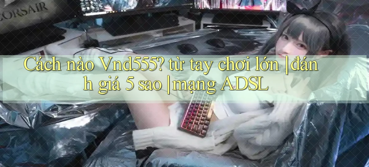 Cách nào Vnd555 từ tay chơi lớn đánh giá 5 sao mạng ADSL