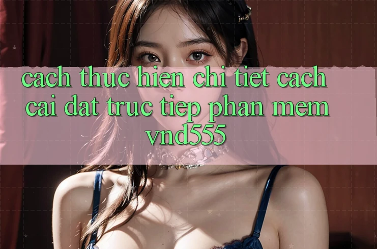 Cách thực hiện chi tiết cách cài đặt trực tiếp phần mềm vnd555