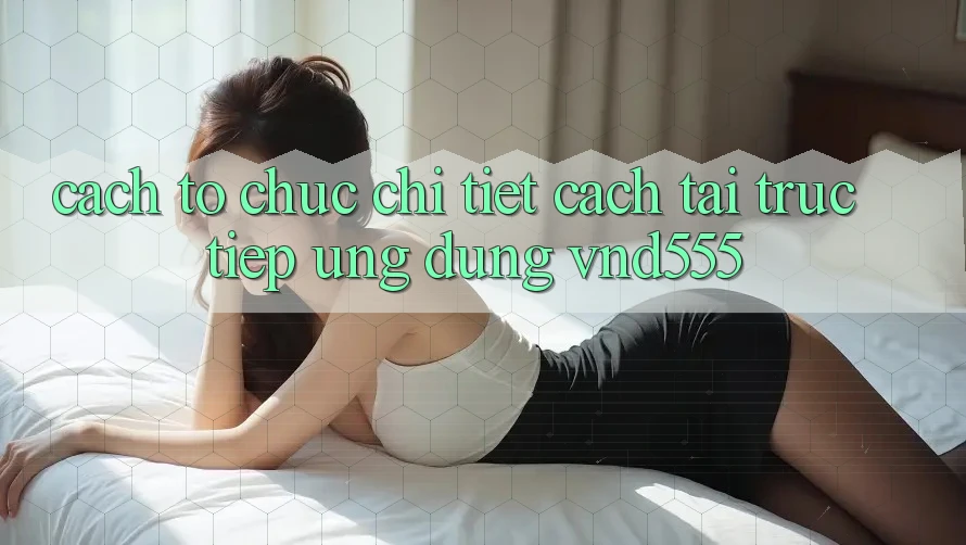 Cách tổ chức chi tiết cách tải trực tiếp ứng dụng vnd555 Cách tổ chức chi tiết cách tải trực tiếp ứng dụng vnd555