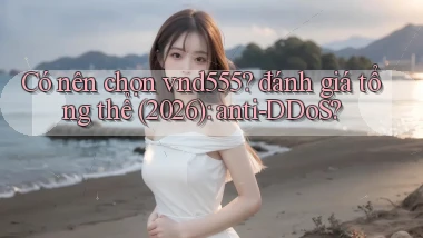 Có nên chọn vnd555 đánh giá tổng thể (2026) anti DDoS