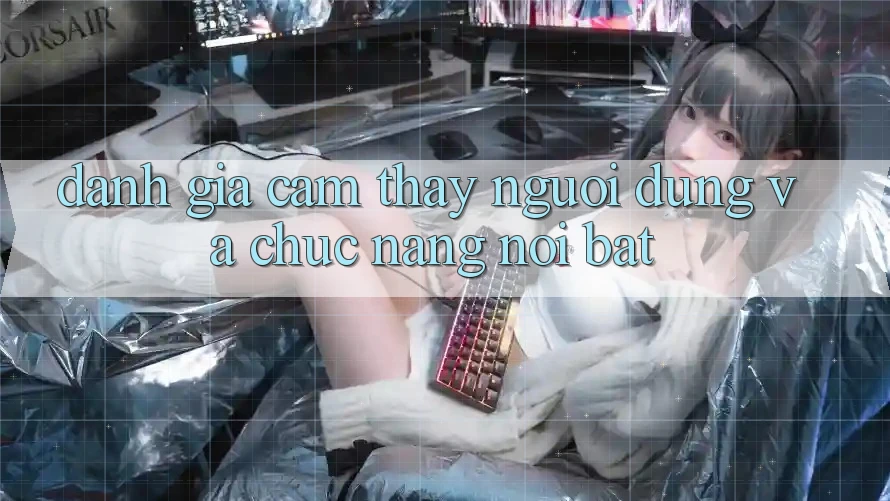 Đánh giá cảm thấy người dùng và chức năng nổi bật Đánh giá cảm thấy người dùng và chức năng nổi bật