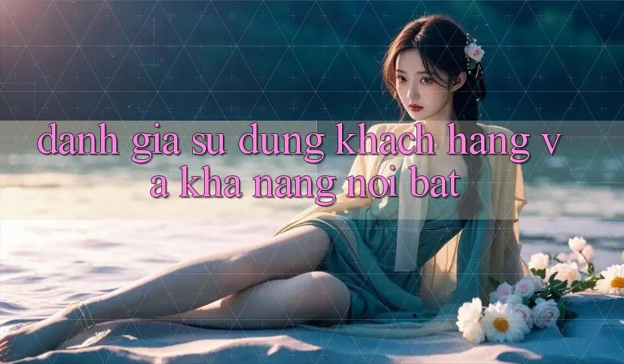 Đánh giá sử dụng khách hàng và khả năng nổi bật Đánh giá sử dụng khách hàng và khả năng nổi bật