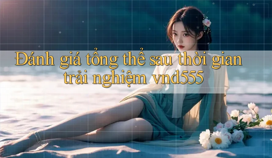 Đánh giá tổng thể sau thời gian trải nghiệm vnd555