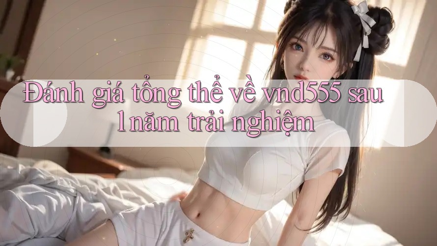 Đánh giá tổng thể về vnd555 sau 1 năm trải nghiệm