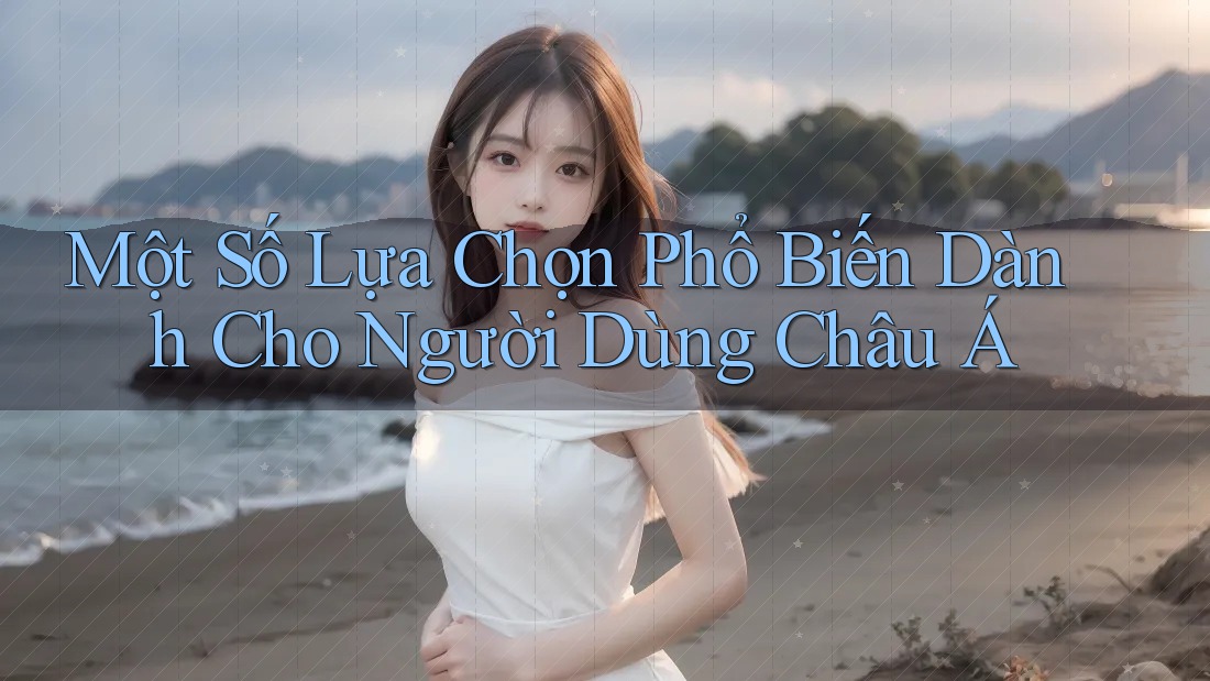 Một Số Lựa Chọn Phổ Biến Dành Cho Người Dùng Châu Á Một Số Lựa Chọn Phổ Biến Dành Cho Người Dùng Châu Á