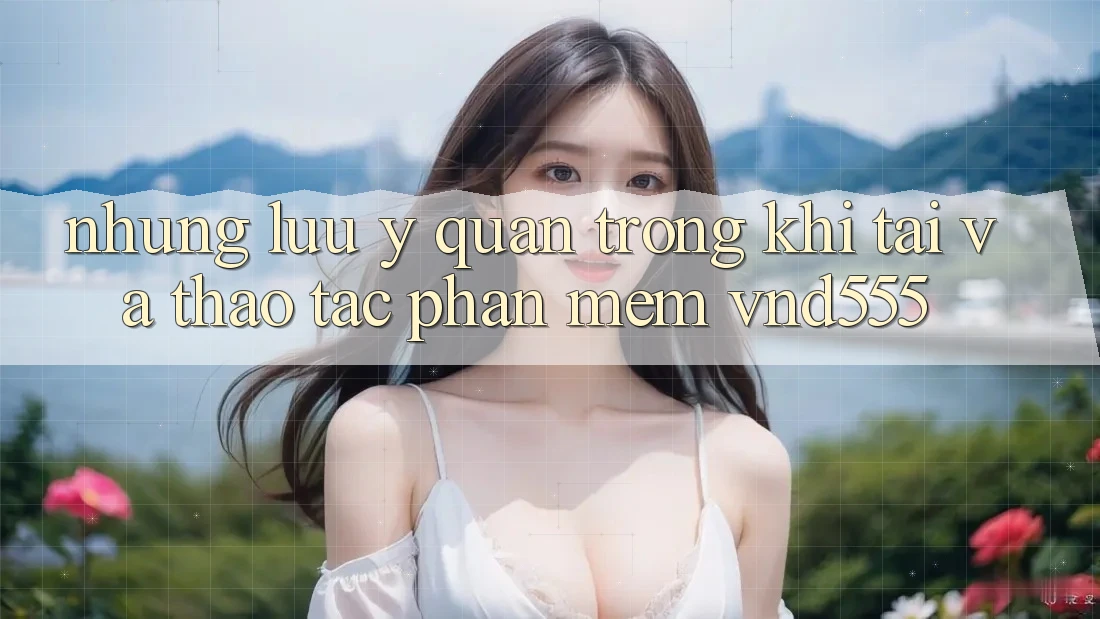Những lưu ý quan trọng khi tải và thao tác phần mềm vnd555