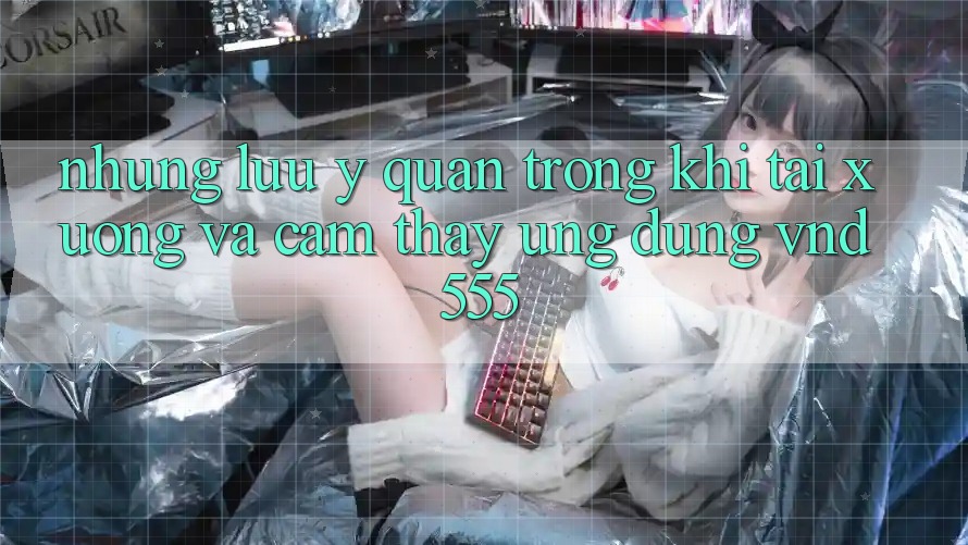 Những lưu ý quan trọng khi tải xuống và cảm thấy ứng dụng vnd555