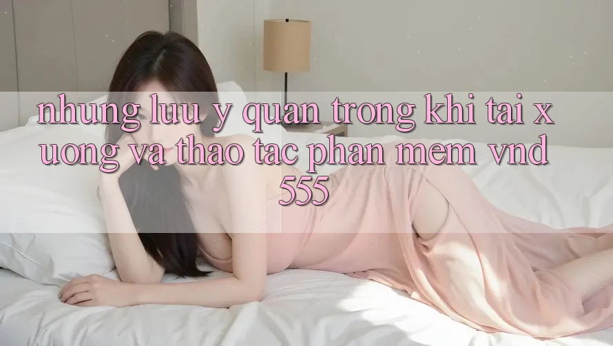 Những lưu ý quan trọng khi tải xuống và thao tác phần mềm vnd555