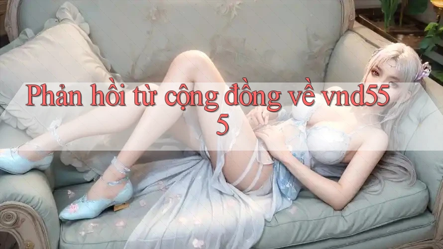 Phản hồi từ cộng đồng về vnd555