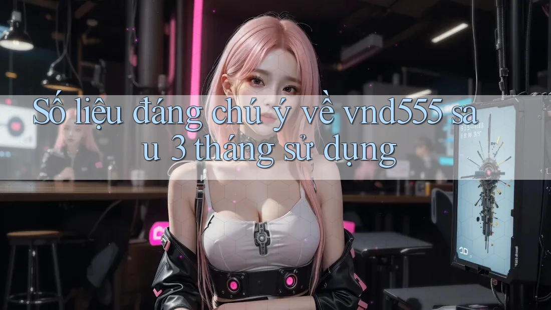 Số liệu đáng chú ý về vnd555 sau 3 tháng sử dụng