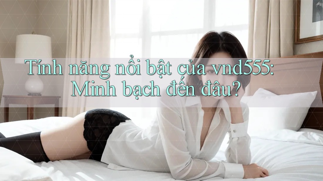 Tính năng nổi bật của vnd555: Minh bạch đến đâu? Tính năng nổi bật của vnd555: Minh bạch đến đâu?