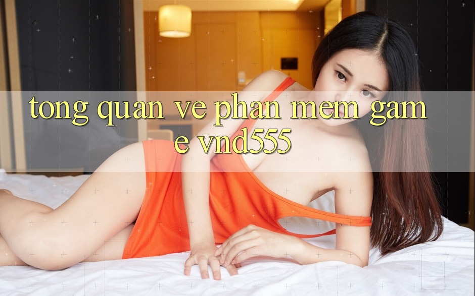 Tổng quan về phần mềm game vnd555