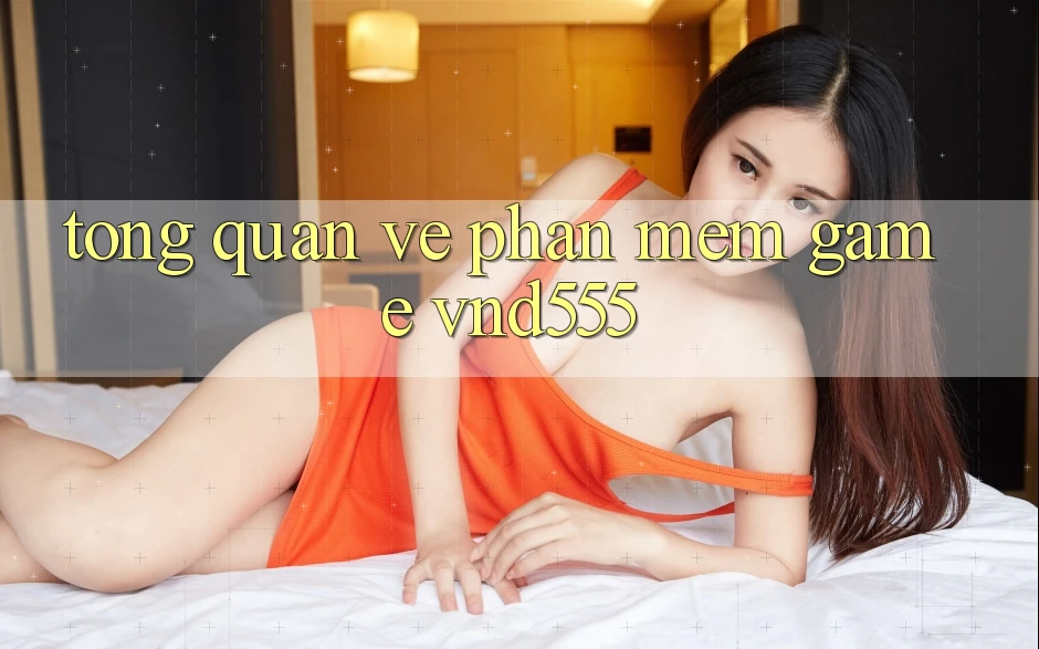 Tổng quan về phần mềm game vnd555