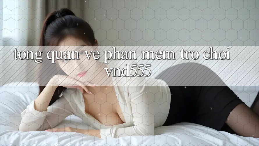 Tổng quan về phần mềm trò chơi vnd555