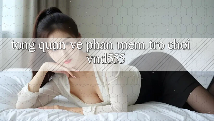 Tổng quan về phần mềm trò chơi vnd555