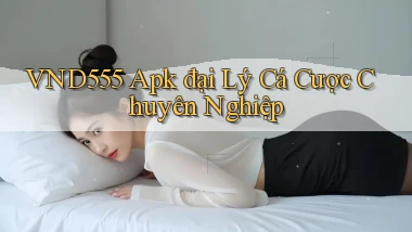 vnd555  apk đại lý cá cược chuyên nghiệp