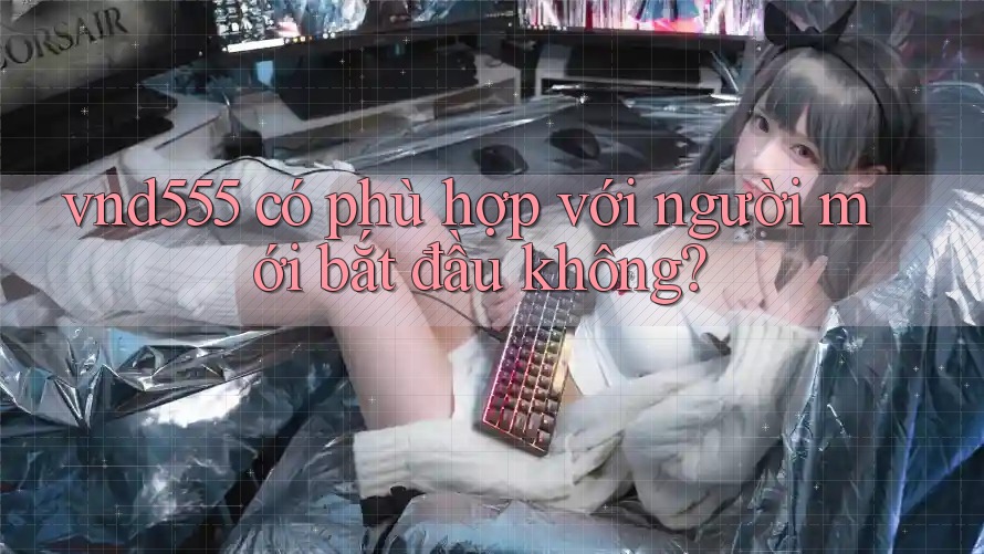 Vnd555 có phù hợp với người mới bắt đầu không?
