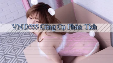 vnd555  công cụ phân tích