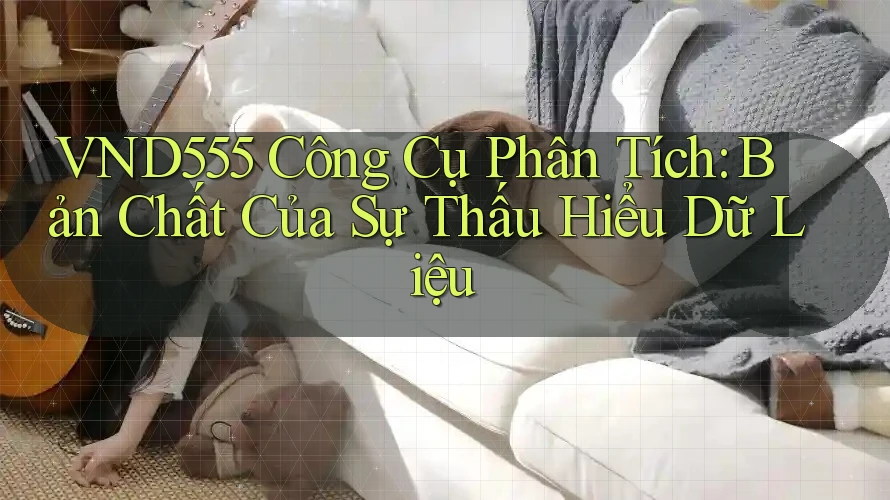 VND555 Công Cụ Phân Tích: Bản Chất Của Sự Thấu Hiểu Dữ Liệu