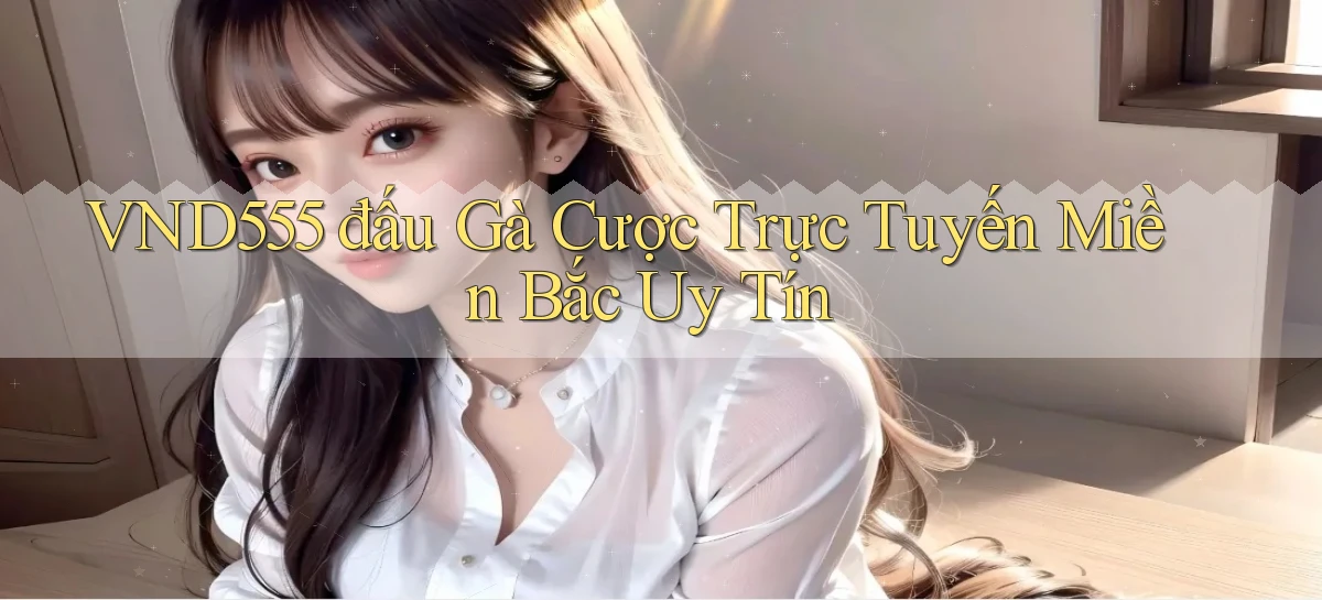 vnd555  đấu gà cược trực tuyến miền bắc uy tín