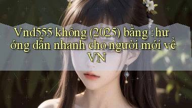 Vnd555 không (2025) bằng hướng dẫn nhanh cho người mới về VN