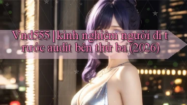 Vnd555 kinh nghiệm người đi trước audit bên thứ ba (2026)