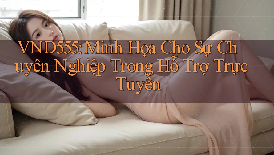 VND555: Minh Họa Cho Sự Chuyên Nghiệp Trong Hỗ Trợ Trực Tuyến VND555: Minh Họa Cho Sự Chuyên Nghiệp Trong Hỗ Trợ Trực Tuyến