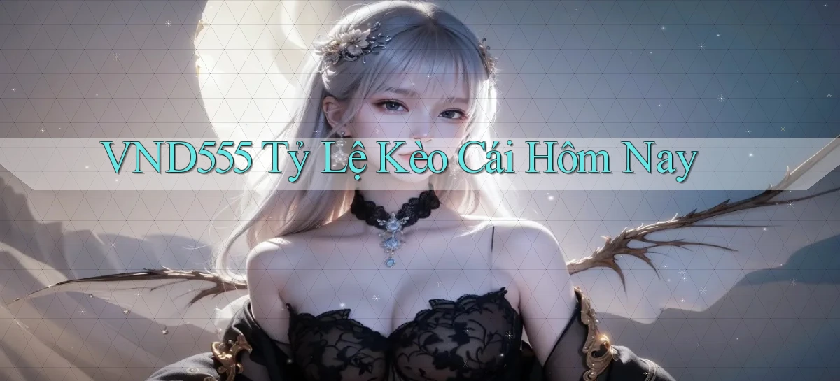 vnd555  tỷ lệ kèo cái hôm nay