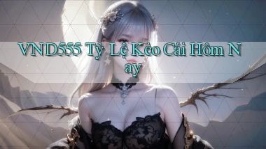 vnd555  tỷ lệ kèo cái hôm nay