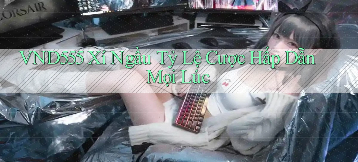 vnd555  xí ngầu tỷ lệ cược hấp dẫn mọi lúc