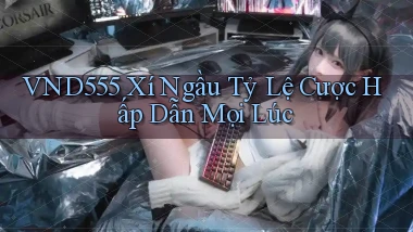 vnd555  xí ngầu tỷ lệ cược hấp dẫn mọi lúc